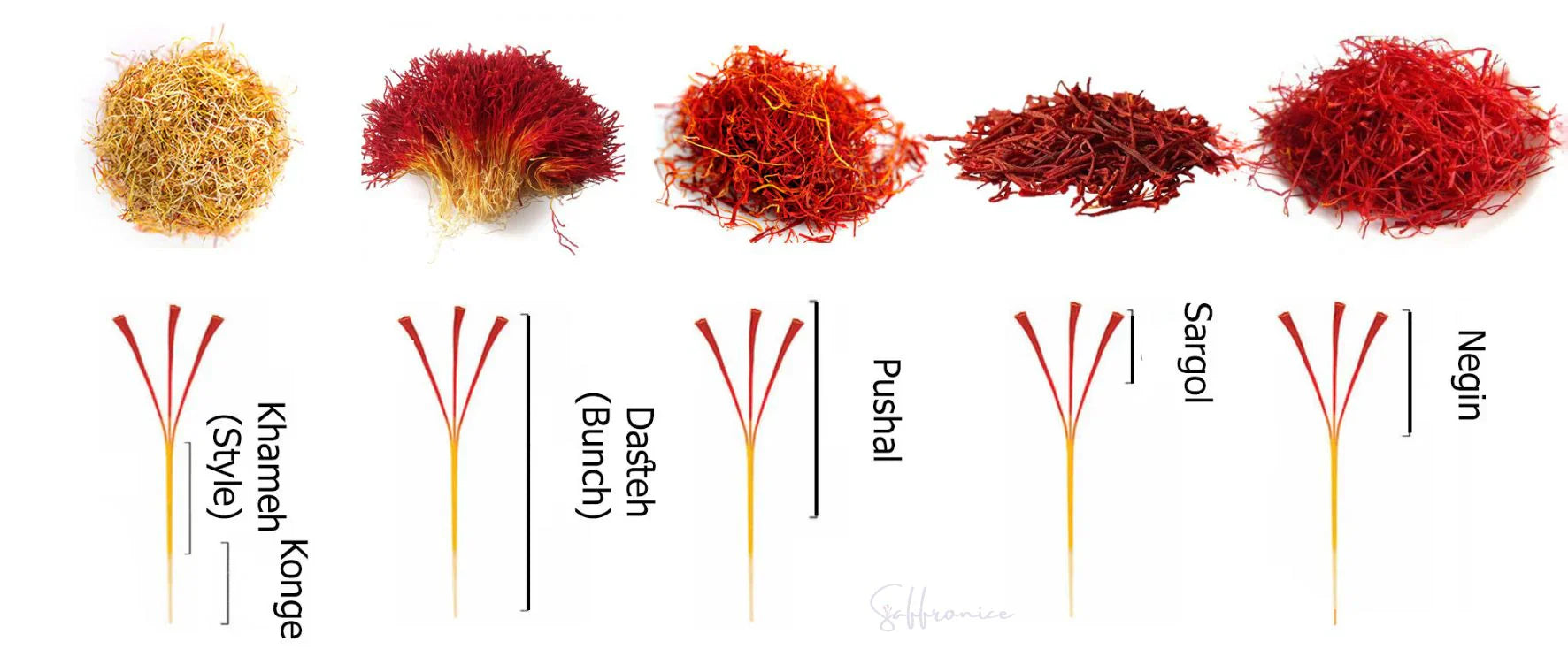 Understanding Saffron Grades: From Khaameh to Super Negin